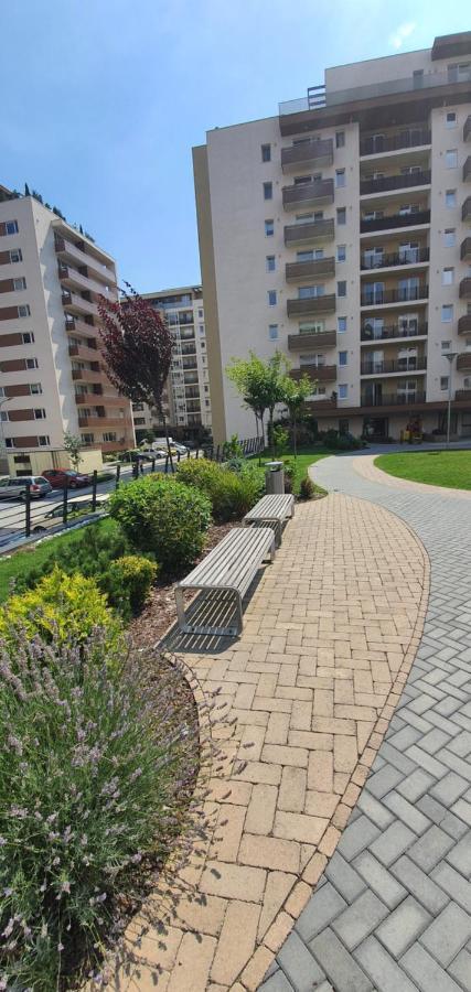 Apartment Alios Lux Braşov Eksteriør bilde