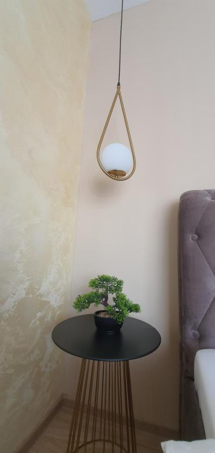 Apartment Alios Lux Braşov Eksteriør bilde
